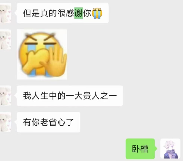 学长学姐反馈截图